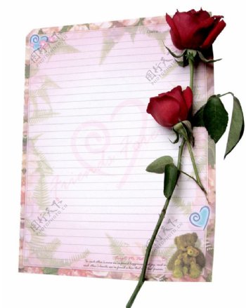 玫瑰花笔记本图片