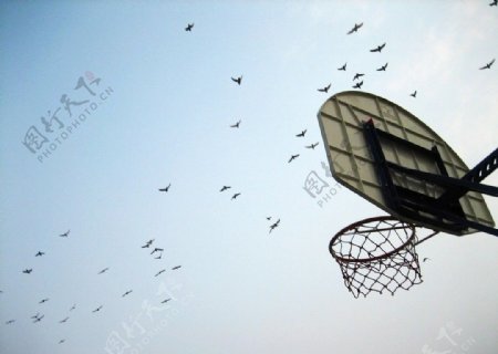 篮球架剪影图片