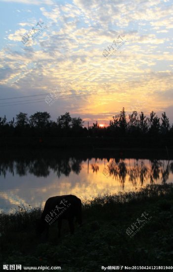 阜阳颍州西湖湿地图片