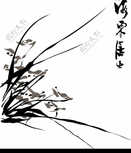 梅兰菊竹图片