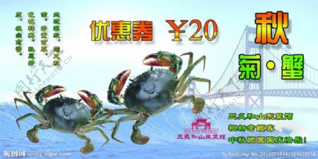 秋菊蟹宣传图片