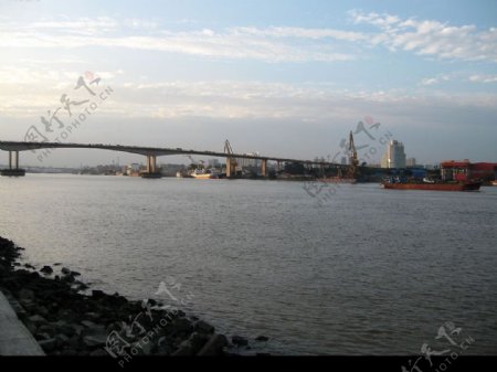番禺洛溪大桥图片