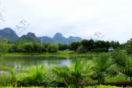 琴潭周边绿化图片