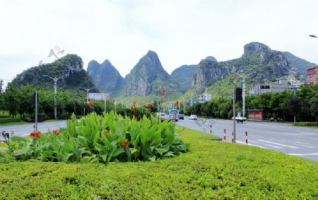 琴潭公路沿途绿化带图片