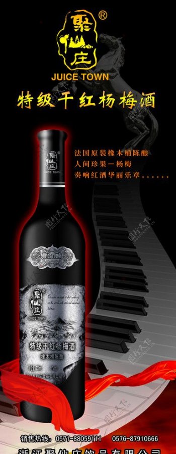 特级干红杨梅酒图片