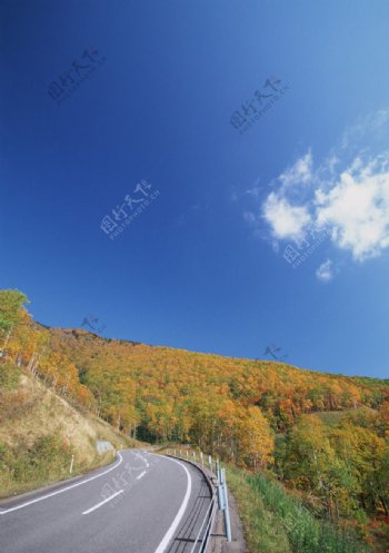 秋天道路图片