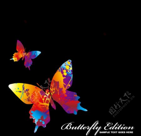 蝴蝶背景设计图片