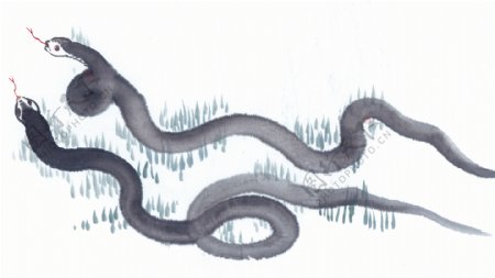 黑白十二生肖国画手绘蛇图片