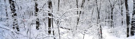 广角雪景图图片