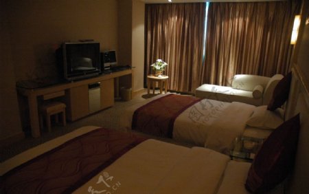 酒店房间图片