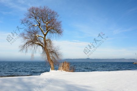 海边雪景图片