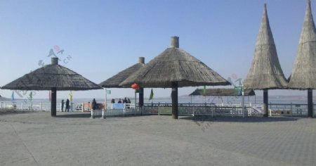 沙湖广场图片
