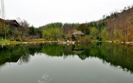 金龙湖宕口公园图片