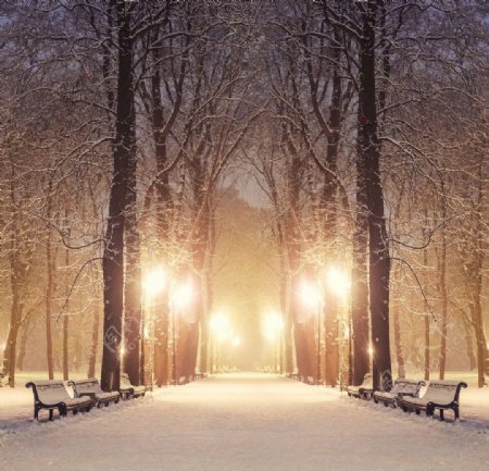 冬季公园道路雪景图片