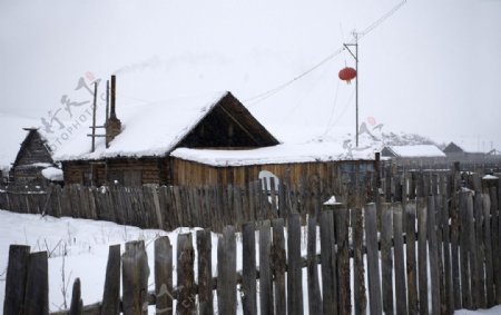 雪中灯笼图片