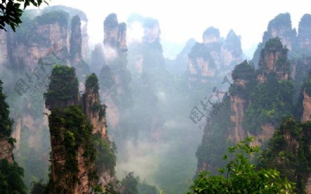 张家界云雾雨后图片