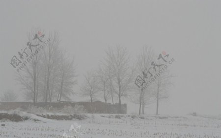 大雪雪景冬天摄影图片