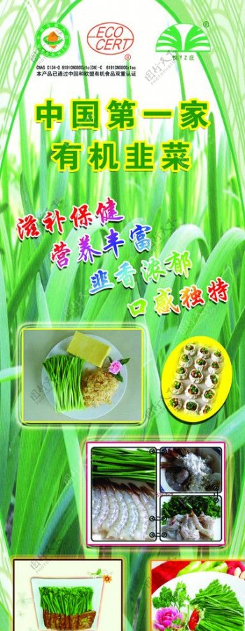 中国第一家有机韭菜有机食品有机韭菜绿色图片