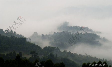 半边山晨雾图片