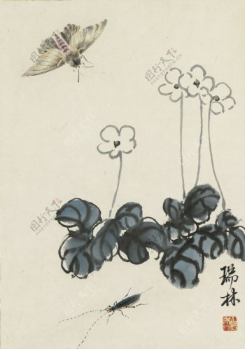 齐白石花卉虫草图片