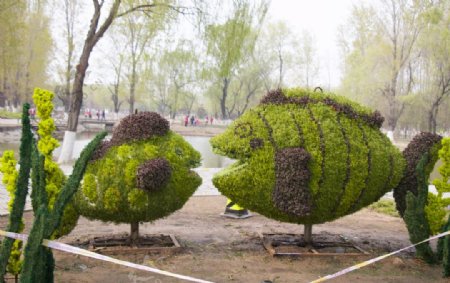 创意植物可爱造型图片