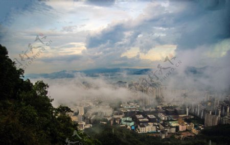 云雾中的深圳湾图片