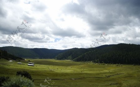 普达措国家森林公园图图片