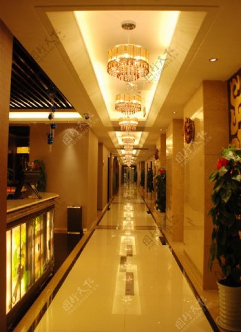 金色酒店走廊图片