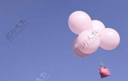 飞舞的粉色气球和小猪图片
