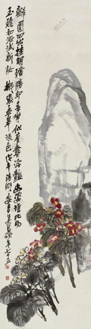 海棠寿石图片