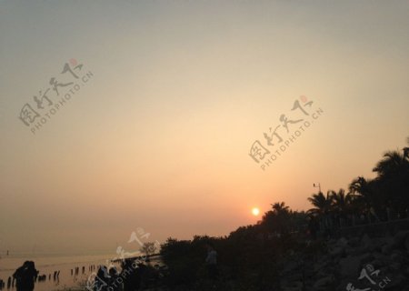 深圳红树林边的日落图片