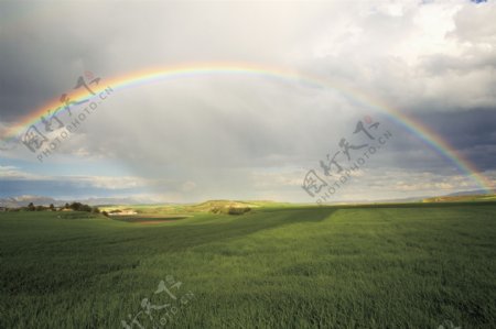 草地彩虹图片