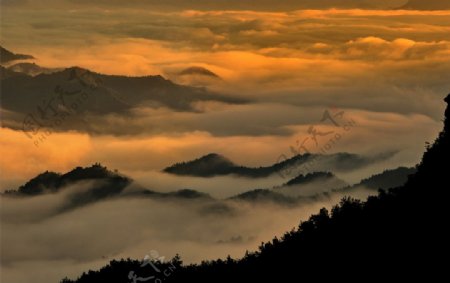 东白山图片