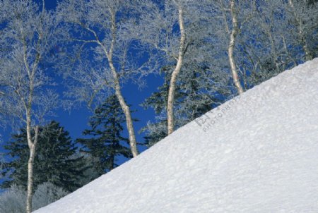 奥林匹克公园雪景图片
