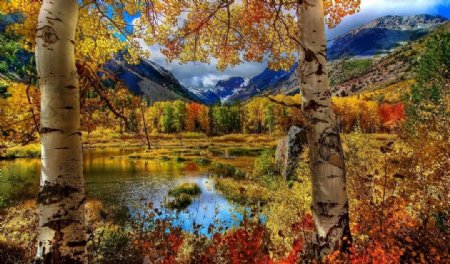 秋季色彩图片