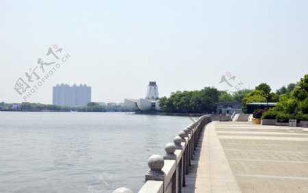 平湖东湖风景图片