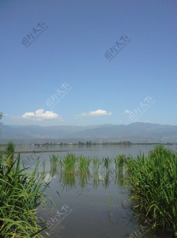四川西昌湿地公园图片
