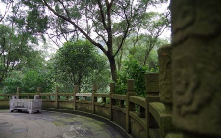 柳州龙潭公园一角图片
