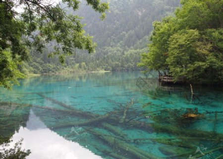 碧水潭图片