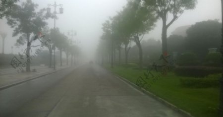 雾薄薄图片