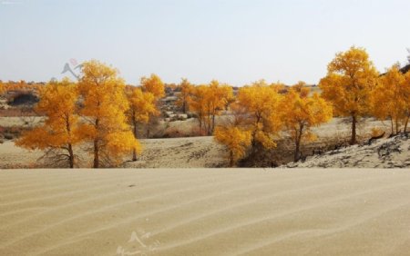 内蒙古巴丹林吉沙漠图片