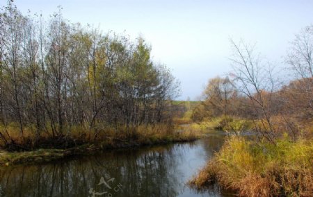 根河金河口的秋天风景图片