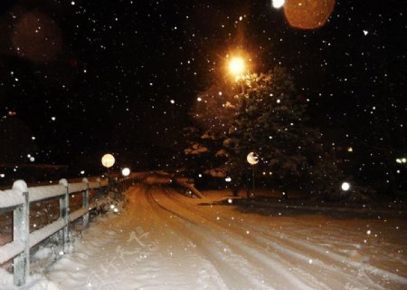 雪景图片