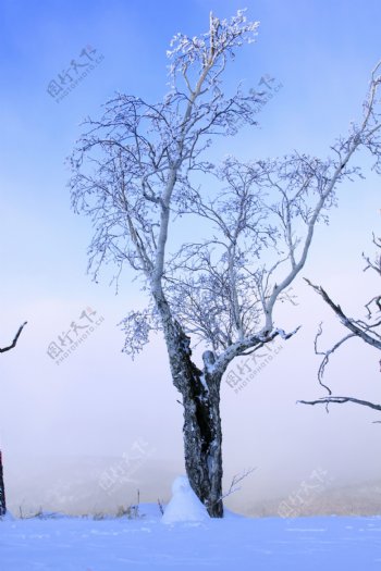 二郎河雪景图片