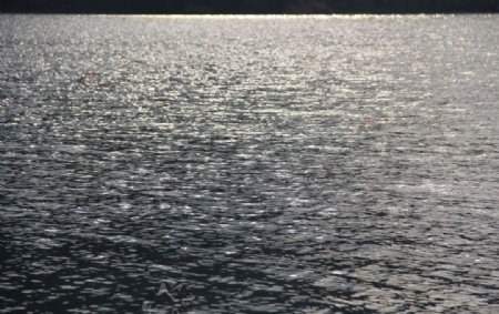 阳光照在水面上图片