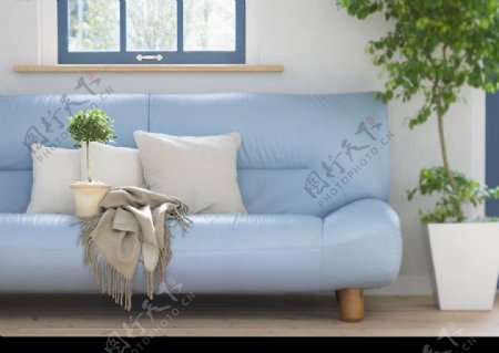 沙发绿化图片