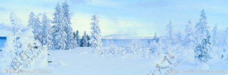 雪地湖泊与树木风光图片