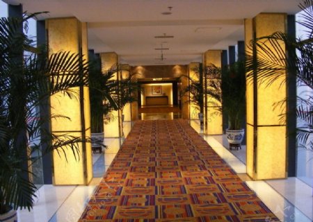 酒店走廊景观图片