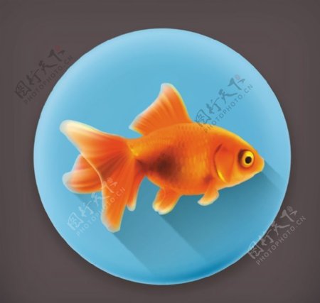 金鱼ICON图标标志图片