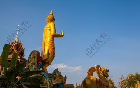 西双版纳总佛寺图片